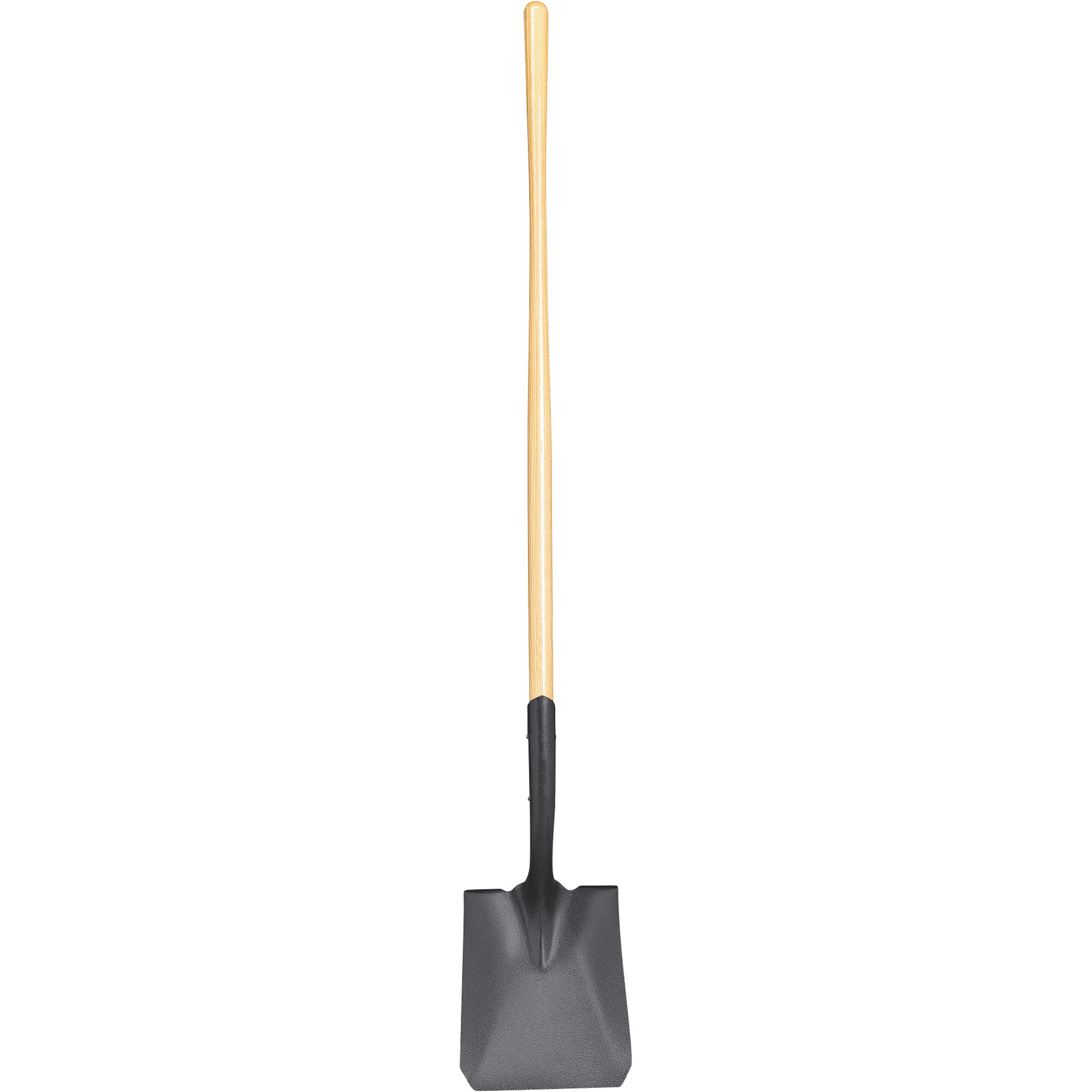 Corona Square Point Transfer Shovel, 11in.W x 56.06in.H